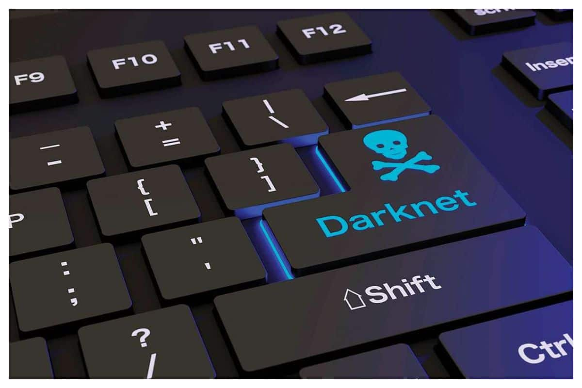 Dark Web Drug Marketplace