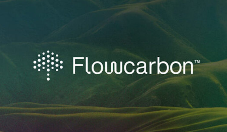 flow carbon crypto